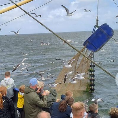 Ontdek Garnalenvissen op Texel - thumbnail