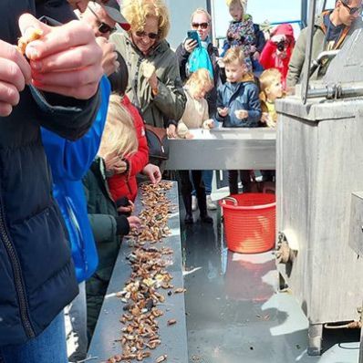 Garnalen vissen op Texel: Het uitje voor het hele gezin! - thumbnail